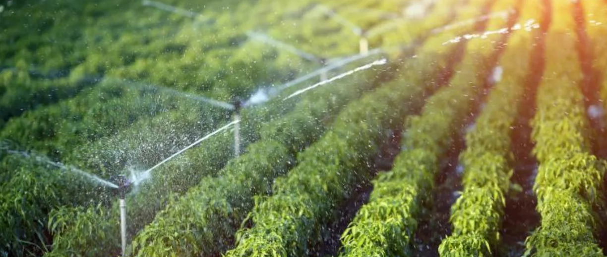 1648087477105975.png 微信截图_20220324100421.png