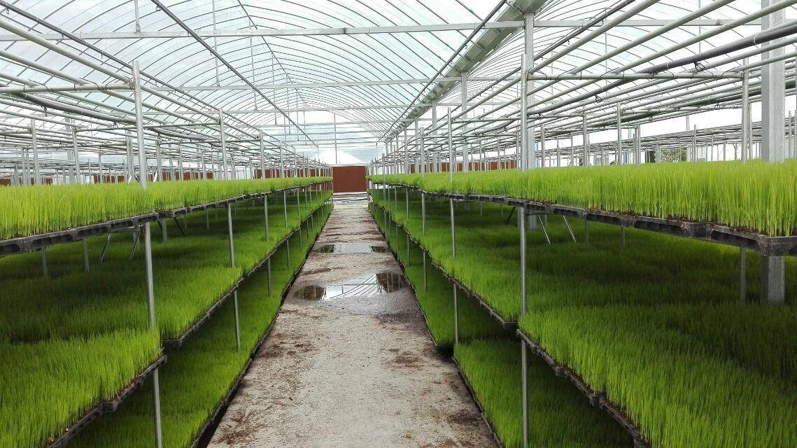 1651807364128475.jpg 210934219582.jpg