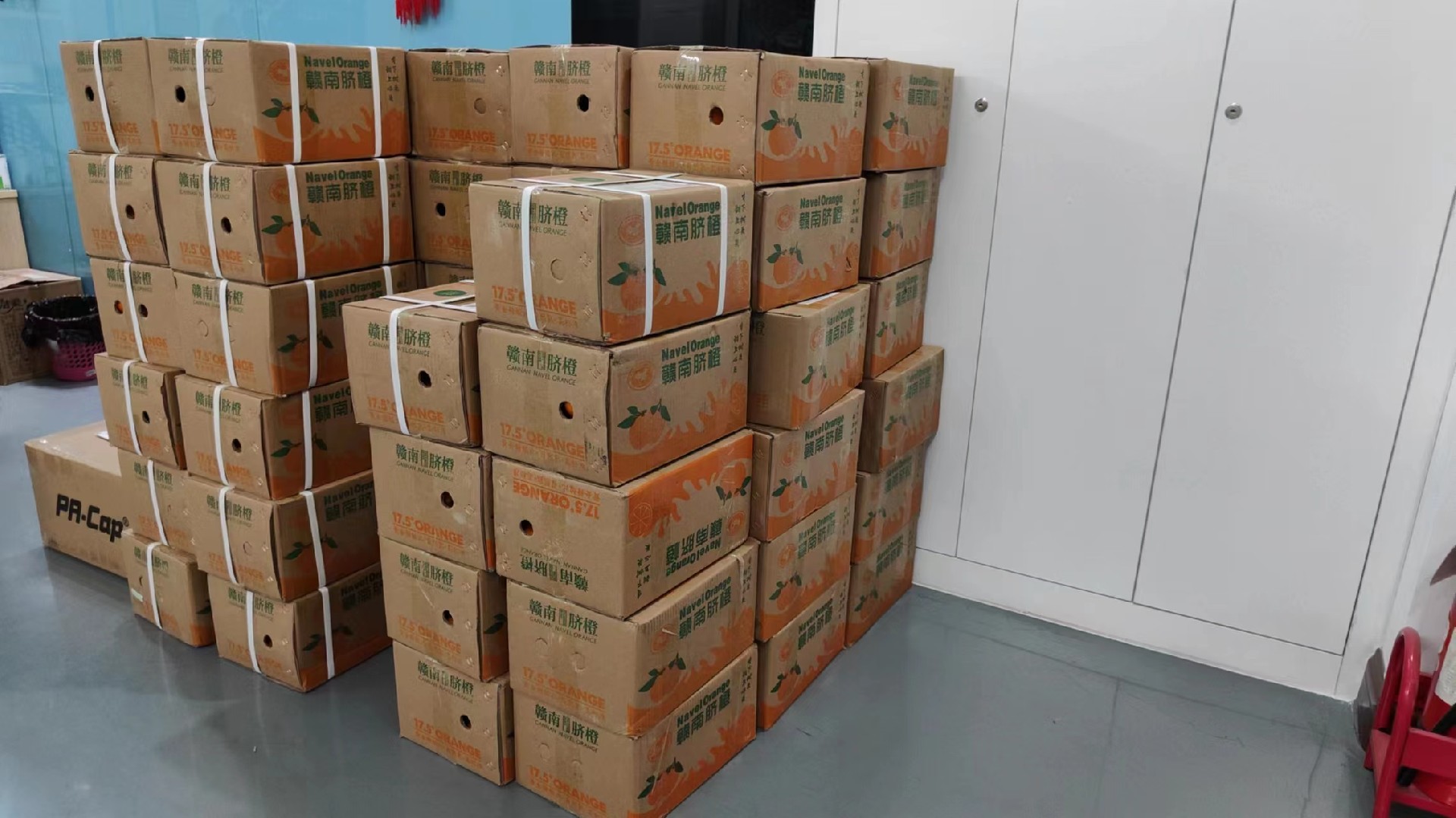 1702630101130912.jpg 微信图片_20231215144105.jpg