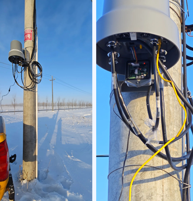 1703238966192792.jpg 1703231042151.jpg